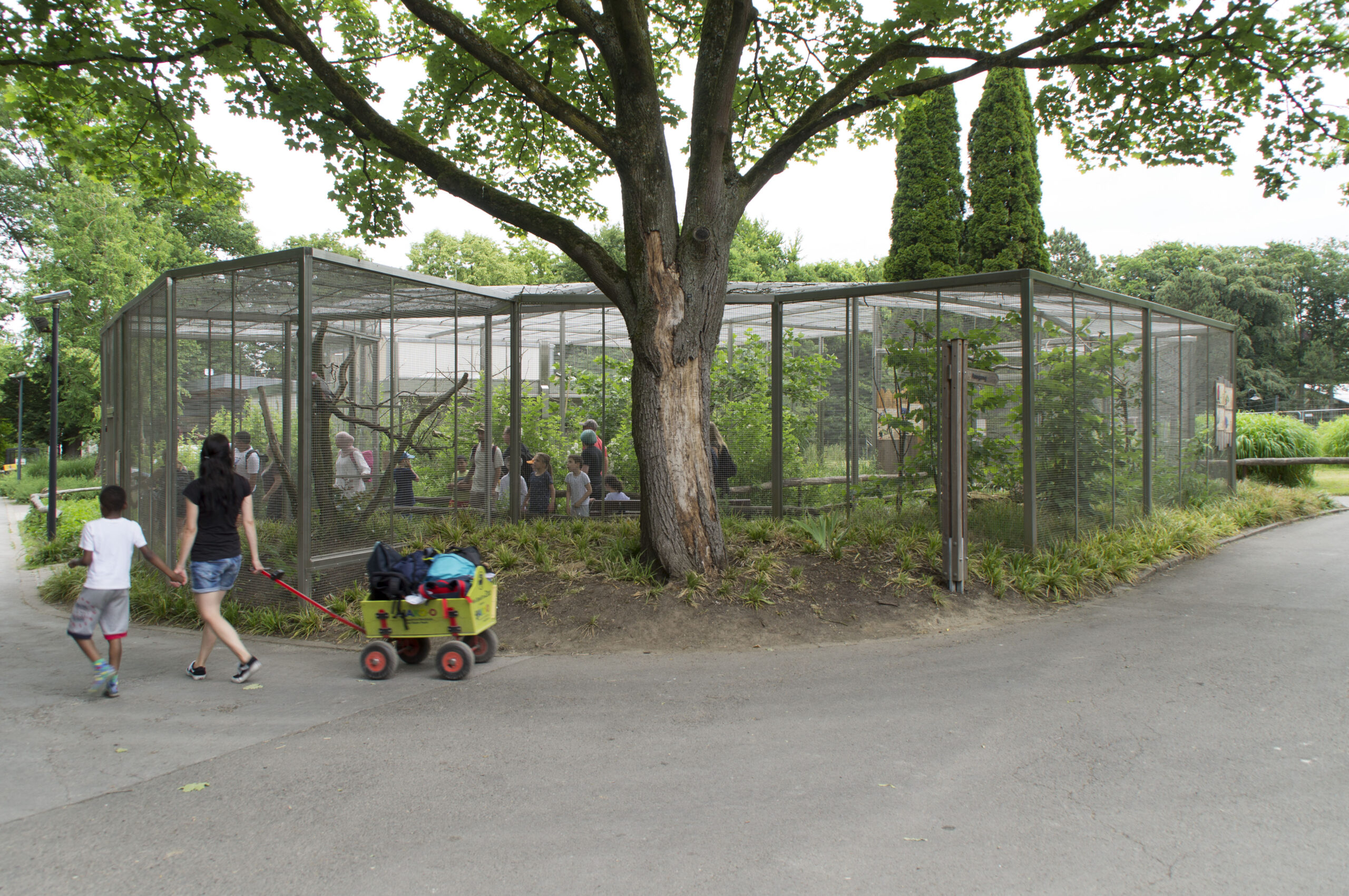 Zoo Dortmund • Australienvoliere